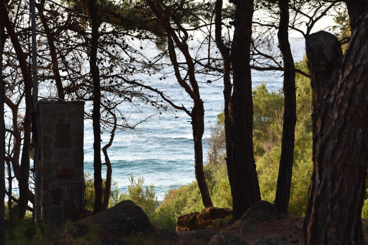 Dolihis Gi, Poseidon Villa Jaliszkári Kültér fotó
